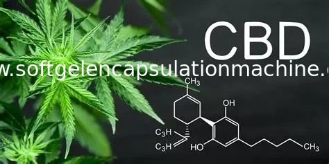 CBD Oil Softgel Capsule Encapsulation Machine With Bottom RTD Sensor FDA Approved