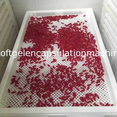 Softgel Capsules Large Plastic Trays High Temperature Bearing Various Color
