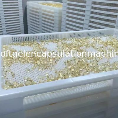 ISO9001 PPE 75 * 55 * 5cm Plastic Drying Trays