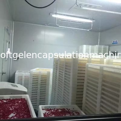 10&quot; Vegetable Gelatin Automatic Vgel Encapsulation Machine 10 Inch Die Roll