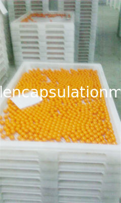 10 Inch Scale Oil Packing Softgel Capsule Machine With Faults Diagnosis