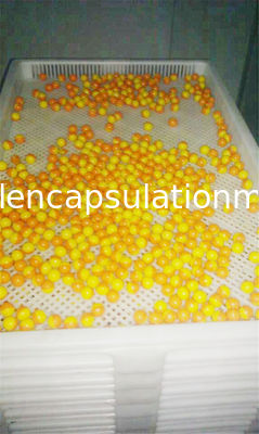 Anti High Temprature Plastic Drying Trays Pe Material For Drying Freezing Baking