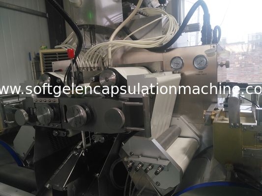 PLC Control Capsule Manufacturing Machine Pharmaceutical 1 Year Warranty