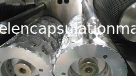 Injection Wedge / Softgel Capsule Filling Machine Parts molds die roll  tooling wedge