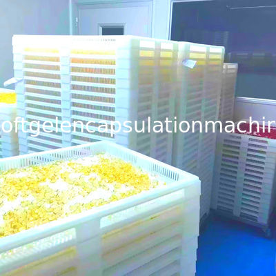 15kg/H 3.5RPM Pharmaceutical Machinery For Liquid Capsule Filling