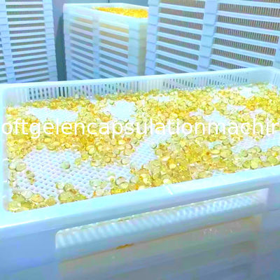 Large Size 78*50*6cm Plastic Drying Trays Softgel Anti High Temprature