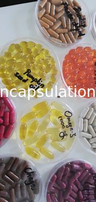 Soft Gelatin Encapsulation 103x152 Capsule Mold 50000pcs/H