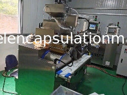 SS316 Cbd Oil 50000 Capsule/H Softgel Encapsulation Machine