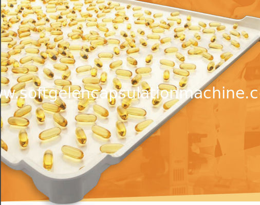 Salmon Oil Cbd Oil Soft Capsule Making Machine Auto Control