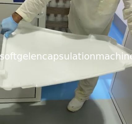 ISO9001 PPE Plastic Drying Trays 75 * 55 * 5cm For Capsule Candy