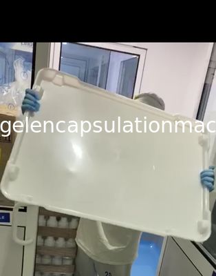 SS316 Capsule Filling Machine Parts Soft Gelatin Encapsulation Production