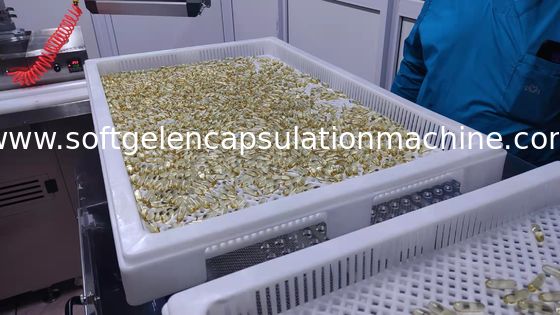 CE Certificate 5rpm Softgel Encapsulation Machine Plc Control