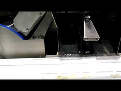 SOFTGEL PAINTBALL ENCAPSULATION MACHINE