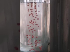 Canabis Oil Olive Oil 13kw Softgel Encapsulation Machine