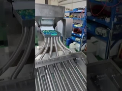 softgel encapsulation machine