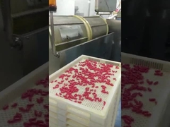 softgel encapsulation machine
