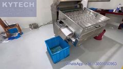 Softgel Capsule Sorting Machine