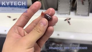 Fish Shaped Servo Softgel Encapsulation Machine